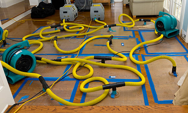 Professional Burst Pipe Water Damage technician working in Sunset, FL